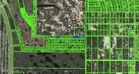 220 Rolling Hills DRIVE LAKE PLACID FL 33852