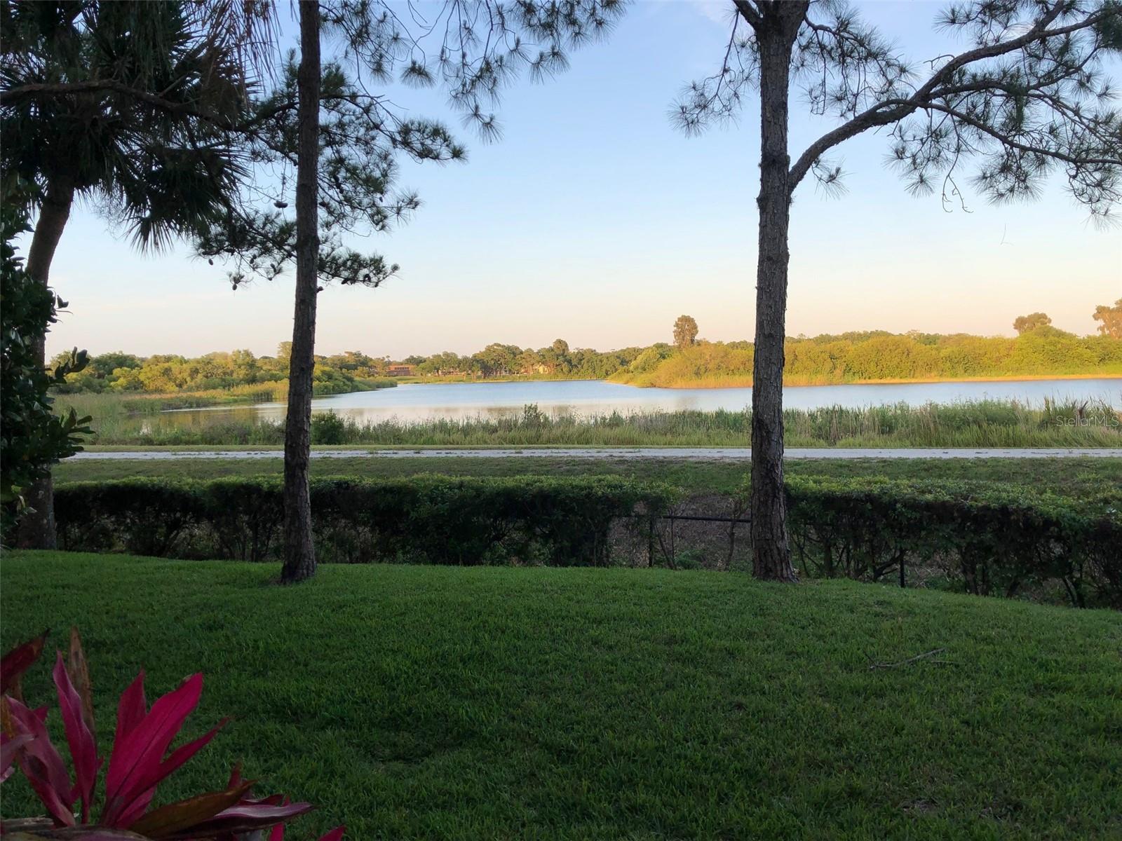 HARBORAGE ON BRADEN RIVER IV PH III - Residential Lease