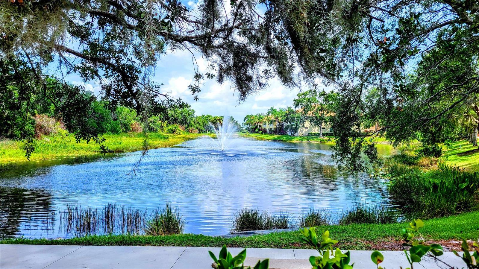 HARBORAGE ON BRADEN RIVER IV PH III - Residential Lease