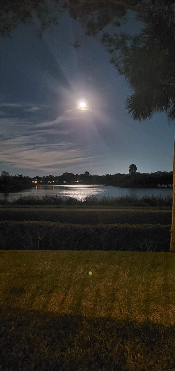 HARBORAGE ON BRADEN RIVER IV PH III - Residential Lease