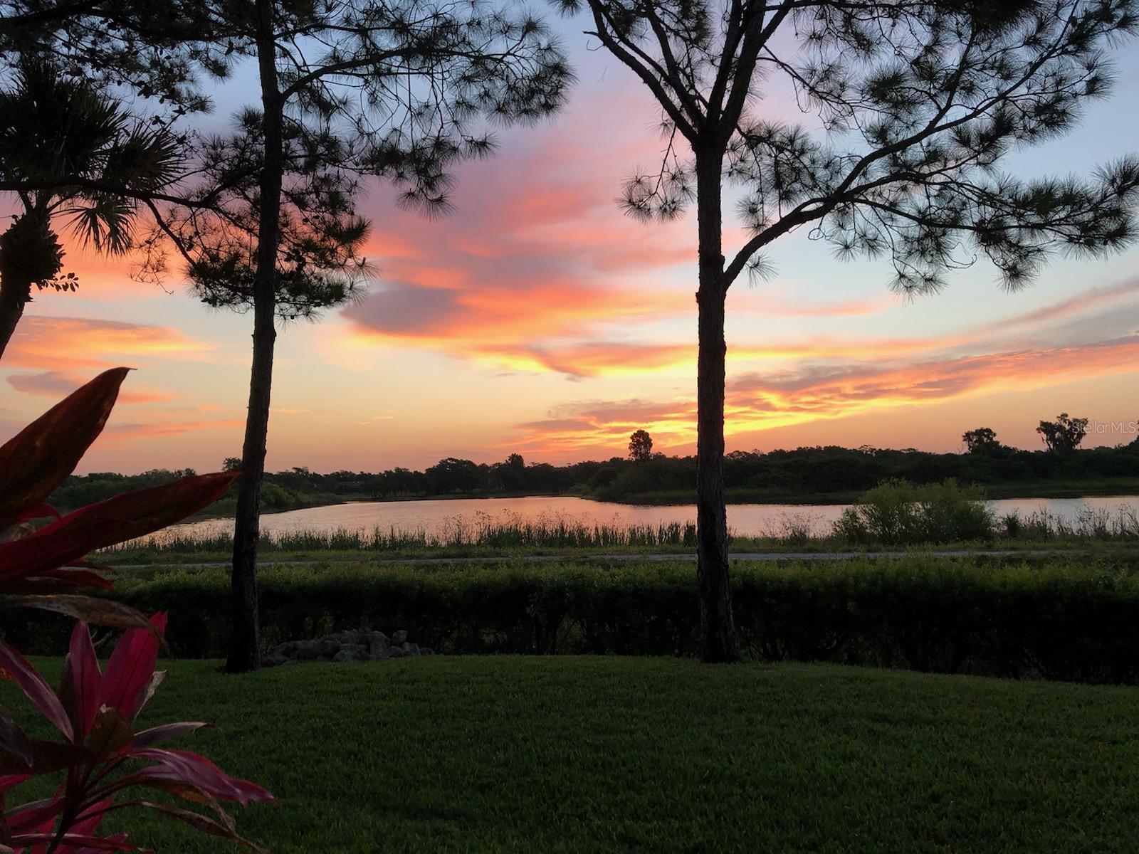 HARBORAGE ON BRADEN RIVER IV PH III - Residential Lease