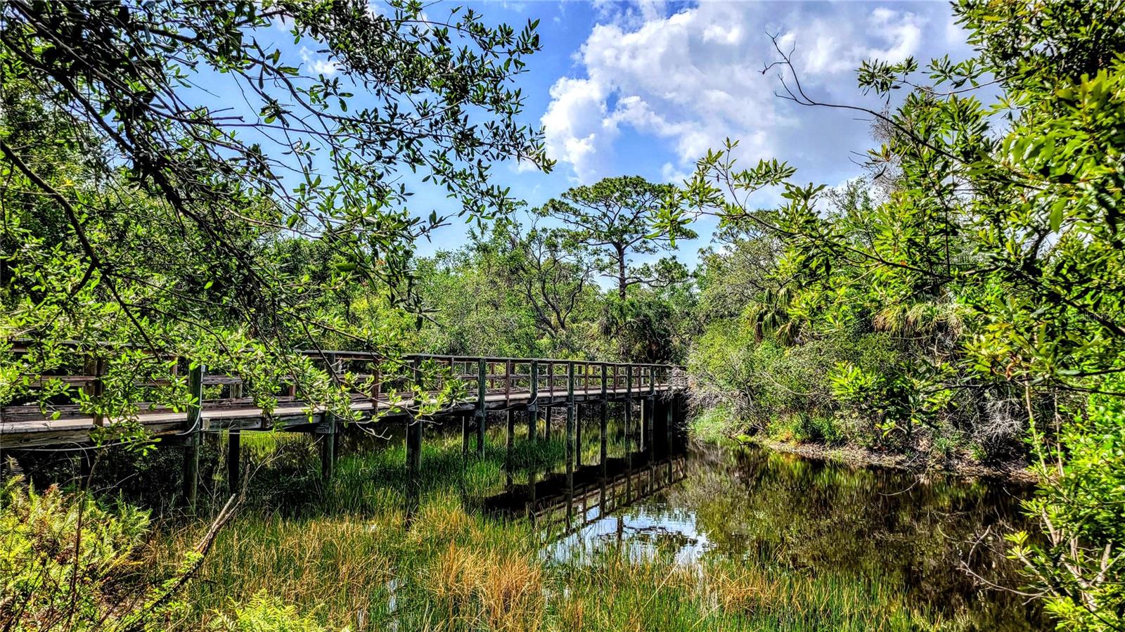 HARBORAGE ON BRADEN RIVER IV PH III - Residential Lease