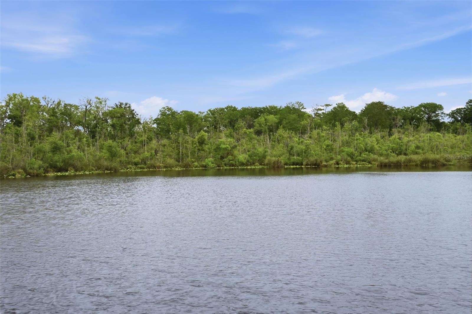 ROSE HAVEN PH 01 - Residential