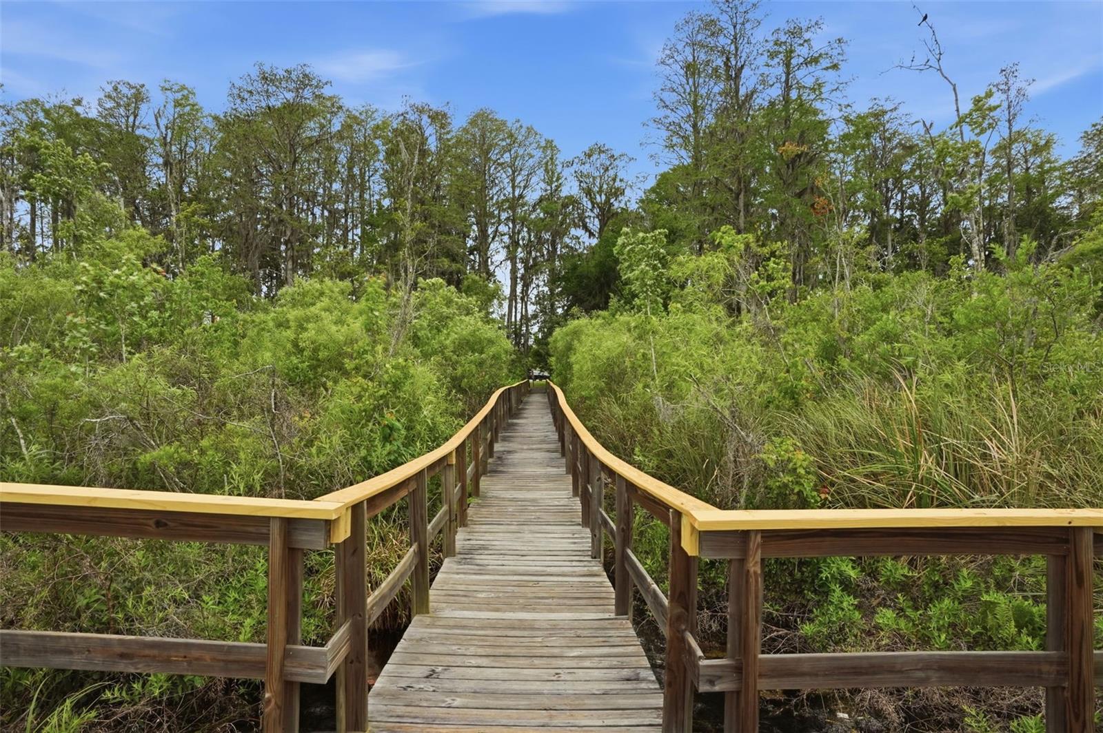 ROSE HAVEN PH 01 - Residential