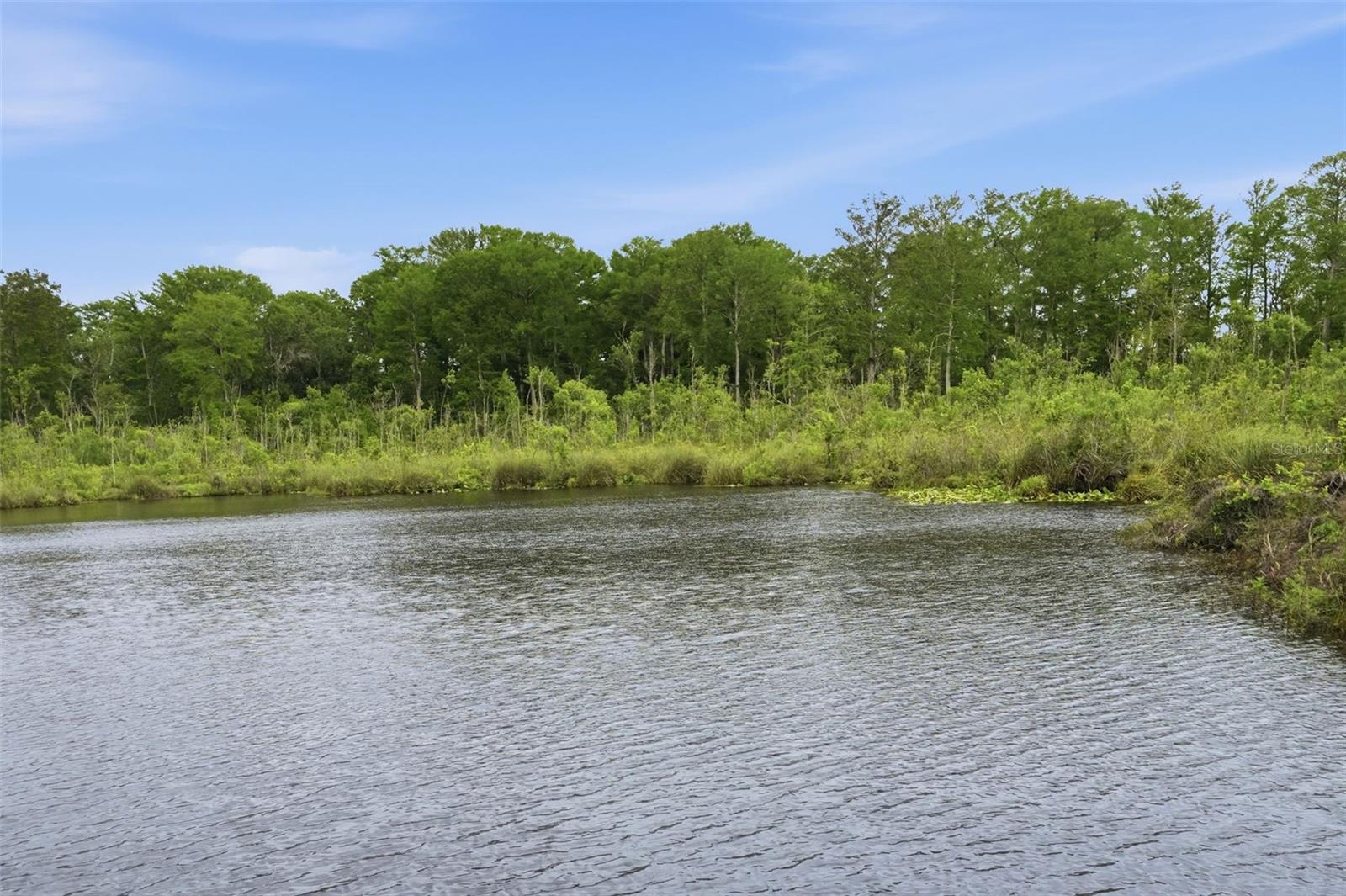 ROSE HAVEN PH 01 - Residential