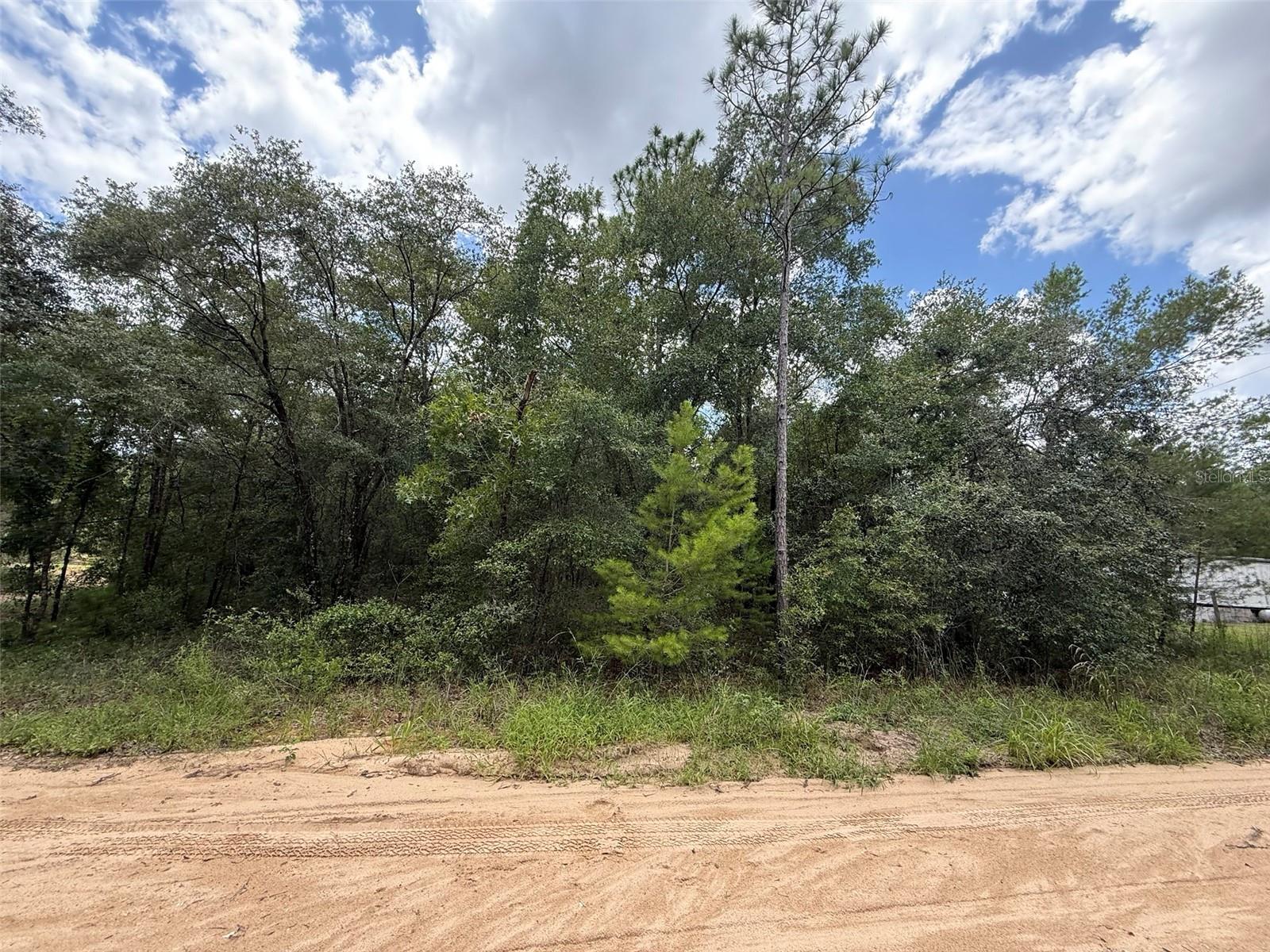 Affordable Florida Land Opportunity in Interlachen! This parcel at 138 SE 8th Ave offers a quiet, natural setting—ideal for building your future home, placing a mobile, or holding as a long-term investment. Located in a growing area of Putnam County, close to restaurants, dining, and amenities, this property has no HOA and benefits from low property taxes, making it a smart choice for developers, investors, or outdoor enthusiasts. Secure your slice of Florida today—drive by and explore the possibilities! Seller owns multiple vacant lots throughout Interlachen and is open to package deals for buyers looking to invest in multiple properties.
