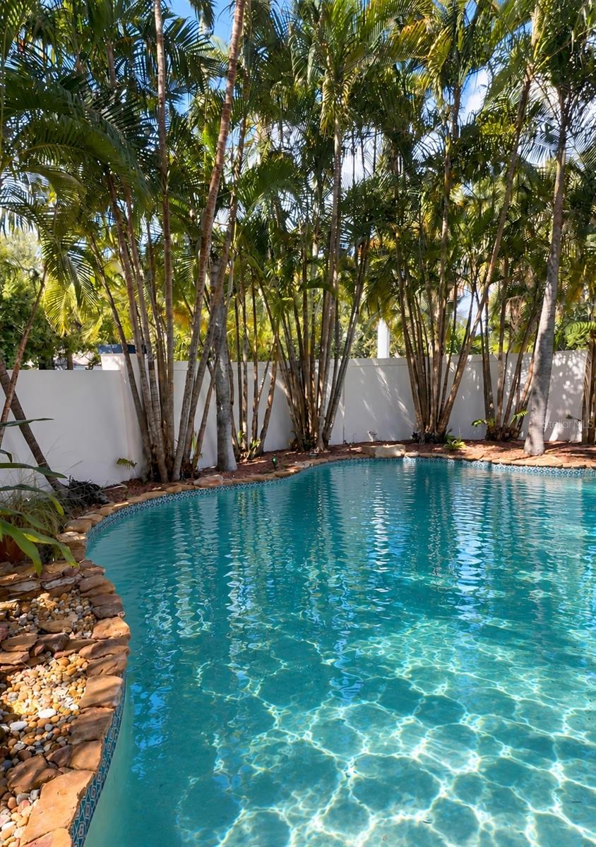 Photo of 2633 W Sunset Drive, Tampa, FL 33629 (MLS # TB8557040)