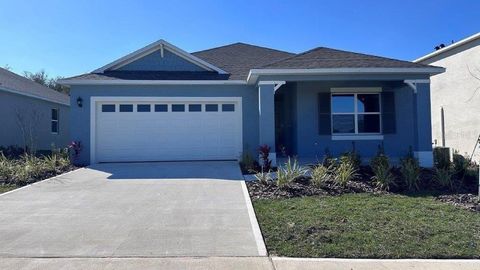 A home in MOUNT DORA