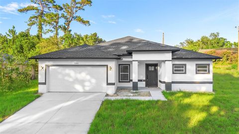 Photo of 1163 W Hancock Drive, Deltona, FL 32725 (MLS # V4942934) Photo of 1163 W Hancock Drive, Deltona, FL 32725 (MLS # V4942934)