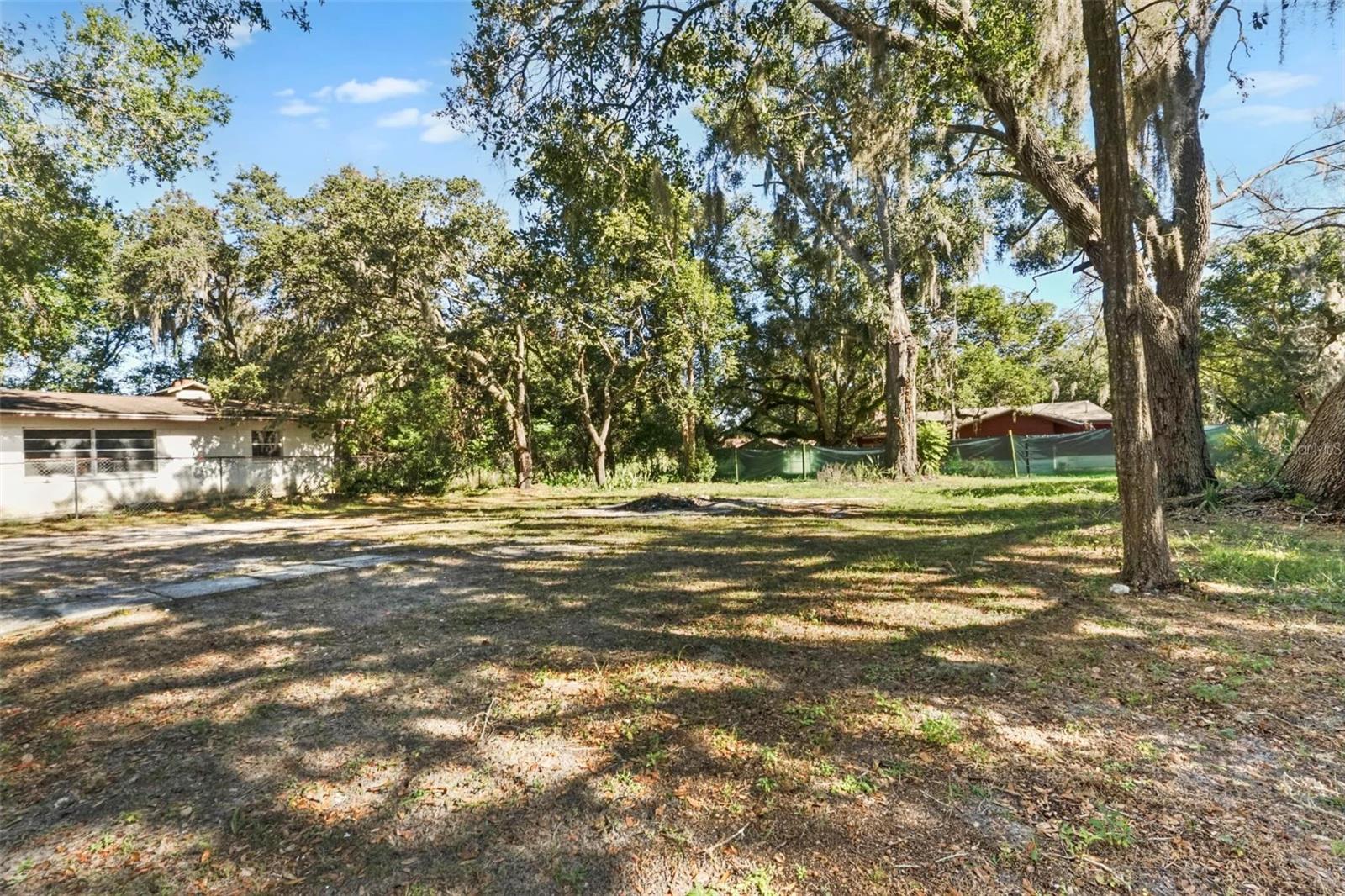 MOUNT DORA - Residential