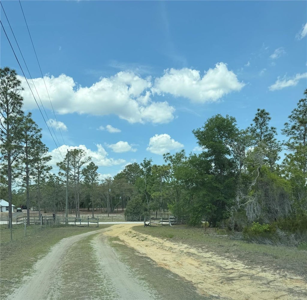 Photo of NE 110th Avenue, Bronson, FL 32621 (MLS # GC542522)