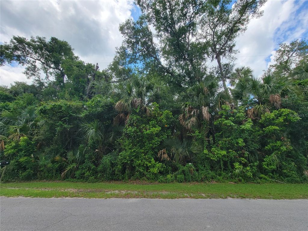 Photo of 1058 Roberts Street, Ormond Beach, FL 32174 (MLS # O6408208)