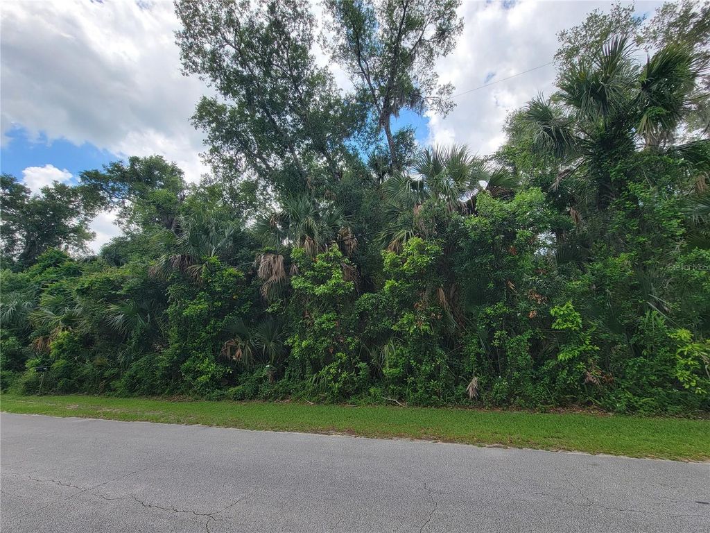 Photo of 1058 Roberts Street, Ormond Beach, FL 32174 (MLS # O6408208)