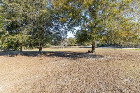 Tiny photo for 825 NE 165th Street, Citra, FL 32113 (MLS # OM718916)
