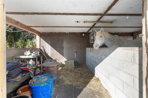 Tiny photo for 825 NE 165th Street, Citra, FL 32113 (MLS # OM718916)