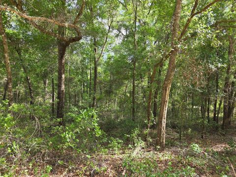Tiny photo for 0000 NE 85th Street, Bronson, FL 32621 (MLS # OM724668)