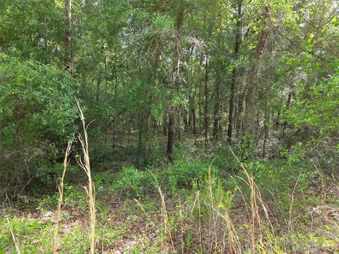 Tiny photo for 0000 NE 85th Street, Bronson, FL 32621 (MLS # OM724668)