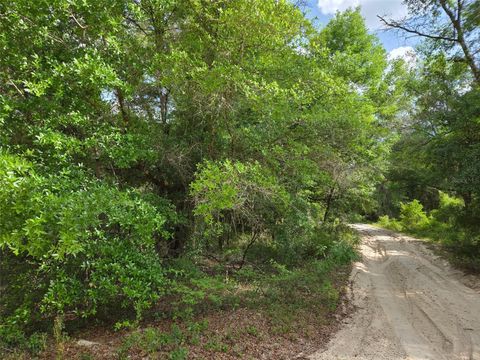 Tiny photo for 0000 NE 85th Street, Bronson, FL 32621 (MLS # OM724668)