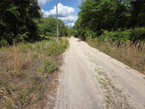 Tiny photo for 0000 NE 85th Street, Bronson, FL 32621 (MLS # OM724668)