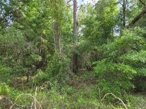 Tiny photo for 0000 NE 85th Street, Bronson, FL 32621 (MLS # OM724668)