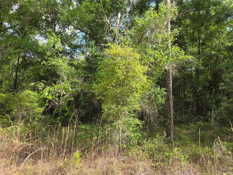 Tiny photo for 0000 NE 85th Street, Bronson, FL 32621 (MLS # OM724668)
