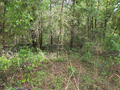 Photo of 0000 NE 85th Street, Bronson, FL 32621 (MLS # OM724668)