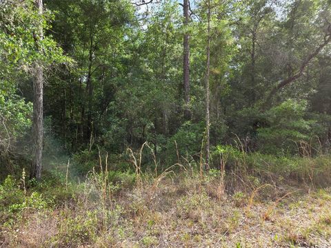 Tiny photo for 0000 NE 85th Street, Bronson, FL 32621 (MLS # OM724668)