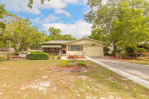Photo of 104 Magnolia Loop, Port Orange, FL 32128 (MLS # NS1088117)