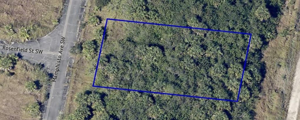 Photo of 2755 Maphisto Avenue SW, Palm Bay, FL 32908 (MLS # OM695787)