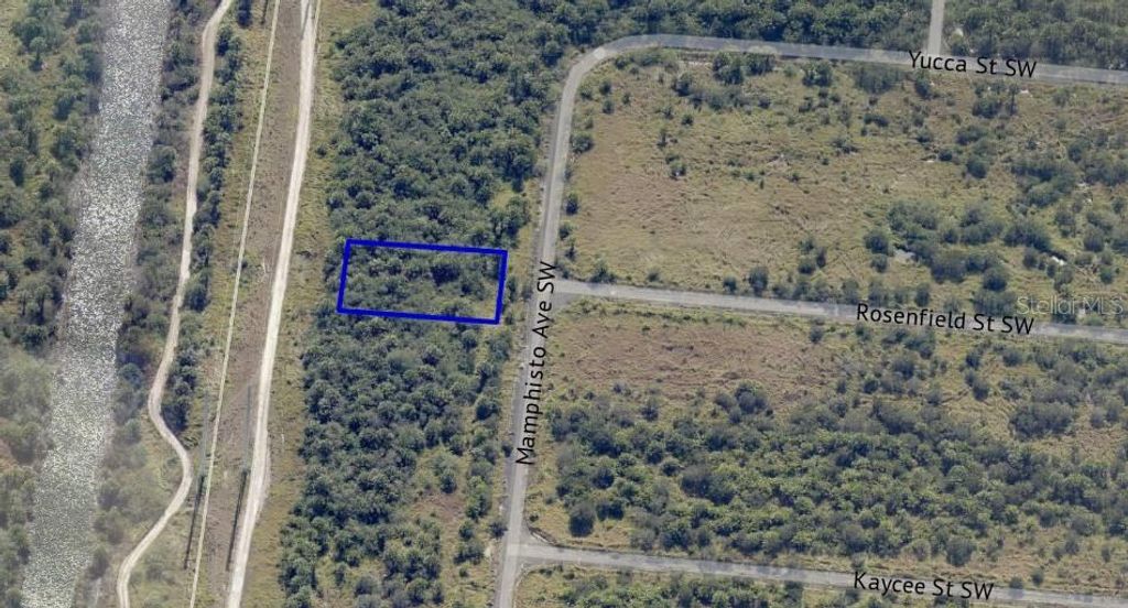 Photo of 2755 Maphisto Avenue SW, Palm Bay, FL 32908 (MLS # OM695787)