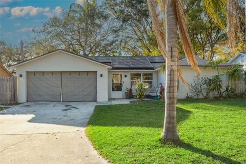2195 GLEN DRIVE SAFETY HARBOR FL 34695