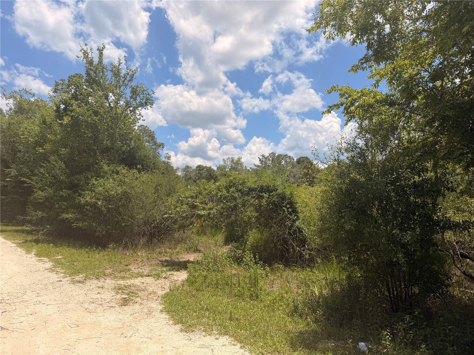 RIDGE MANOR ESTATE - Land