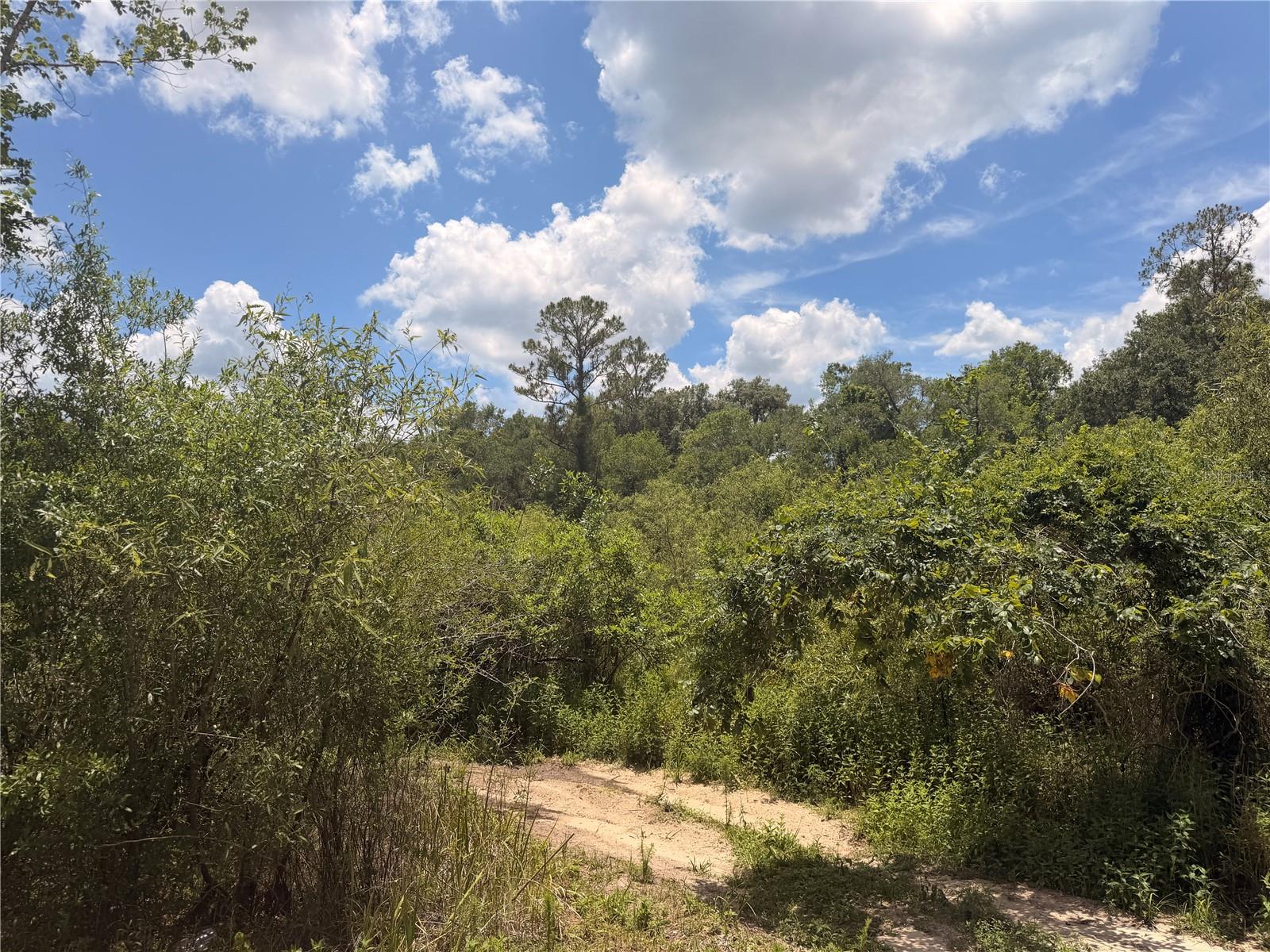 RIDGE MANOR ESTATE - Land
