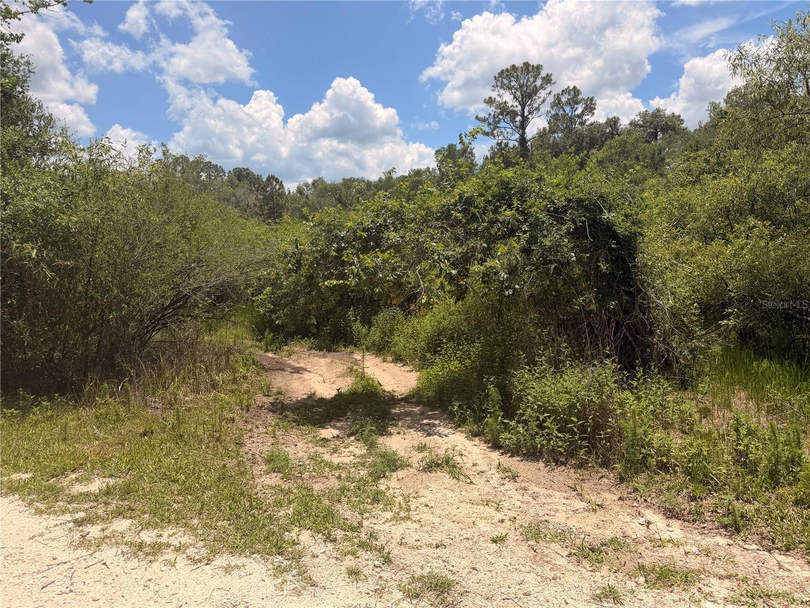 RIDGE MANOR ESTATE - Land