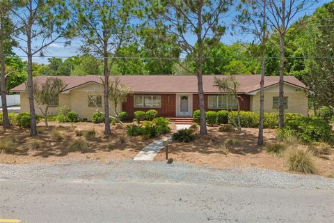 Photo of 707 N Johnson Street, Plant City, FL 33563 (MLS # TB8504765)