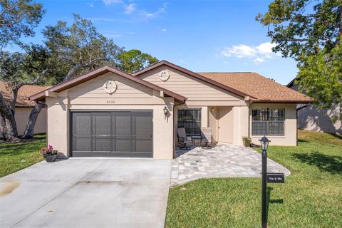 6732 OAK CLUSTER CIRCLE SPRING HILL FL 34606