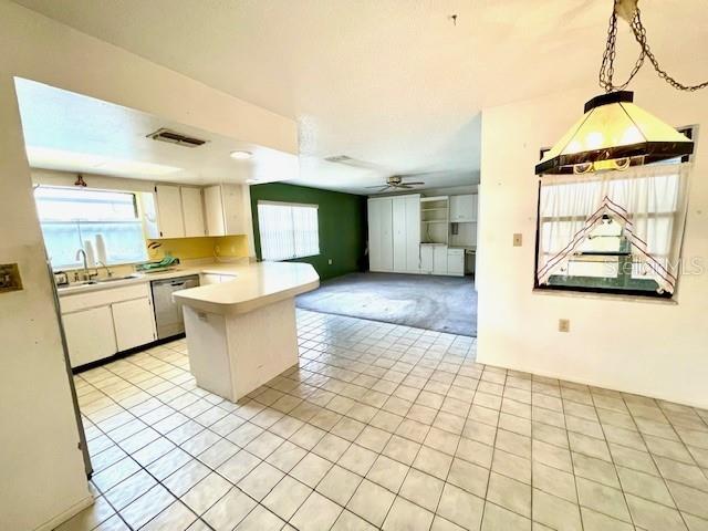 HOLIDAY LAKES WEST - Residential