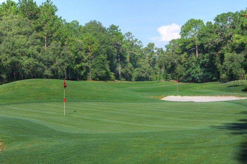 CITRUS SPGS UNIT 13 - Residential