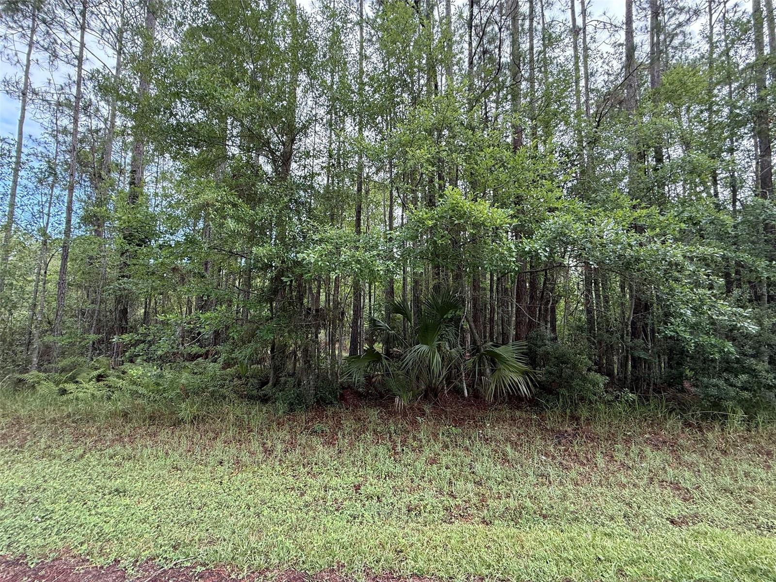 Discover the amazing chance to build your dream home in the growing city of Georgetown on this beautiful 0.23-acre lot. The region boasts a wide array of leisure activities such as boating, fishing, hiking, and camping. It's just a short distance from Lake George. Located within minutes of schools, restaurants, diners, and parks. Investing in land in Florida is a wise choice for your future, whether you're looking to build your dream home, a vacation getaway, a rental property, or simply let the land appreciate as a valuable long-term asset to resell at a profit in the future.