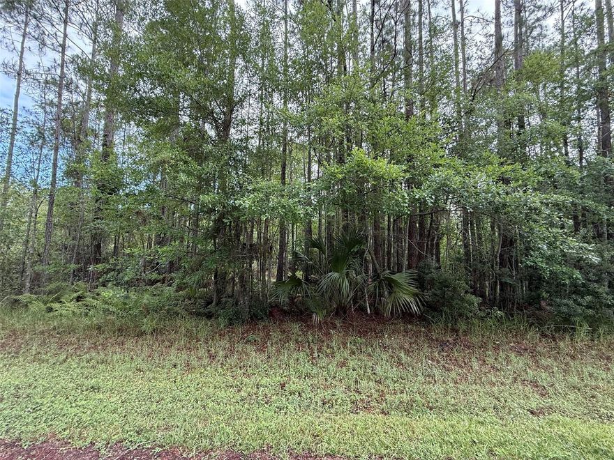 Owner financing considered! Discover the amazing chance to build your dream home in the growing city of Georgetown on this beautiful 0.23-acre lot. The region boasts a wide array of leisure activities such as boating, fishing, hiking, and camping. It's just a short distance from Lake George. Located within minutes of schools, restaurants, diners, and parks. Investing in land in Florida is a wise choice for your future, whether you're looking to build your dream home, a vacation getaway, a rental property, or simply let the land appreciate as a valuable long-term asset to resell at a profit in the future.