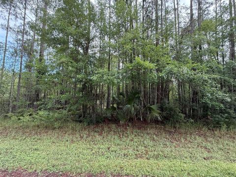 242 LAKEWAY DRIVE GEORGETOWN FL 32139