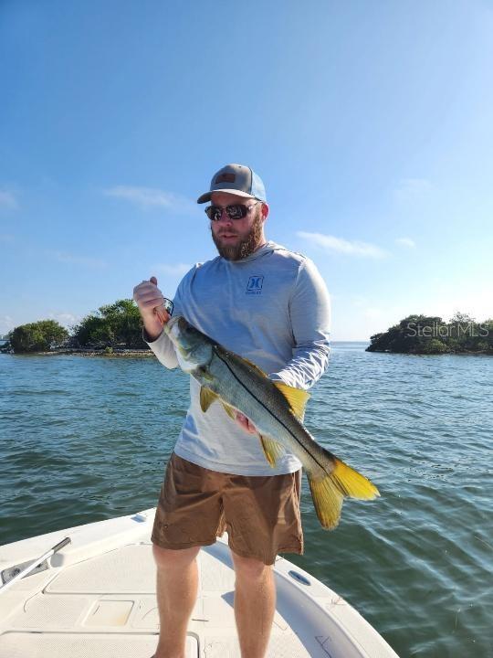 IBIS SUB - Residential