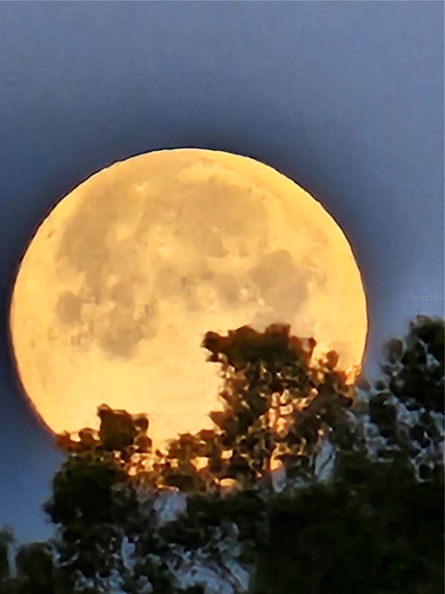 IBIS SUB - Residential