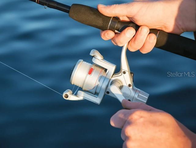 ORCHID COVE - Residential