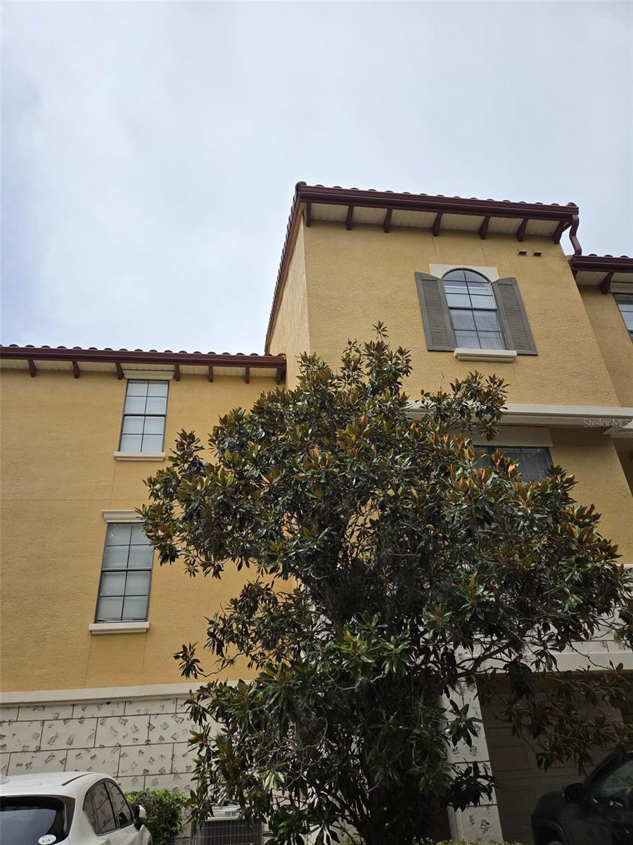 Gated community of Serenata Condo & Residences in the Metrowest area. The community is perfectly situated in the heart of Orlando, a couple of minutes from Valencia College, Starbucks, and Walmart, and just 2 miles away from Universal Studios. This townhouse is 2 bedroom and 2 bathroom. The community features a pond right in the center with a walking trail perfect to relax. There is a clubhouse with a 24-hour gym, tennis courts,s and an amazing pool overlooking the pond. The current owner has taken very good care of this beautiful property. Come and see it. Call me today to schedule your private showing.