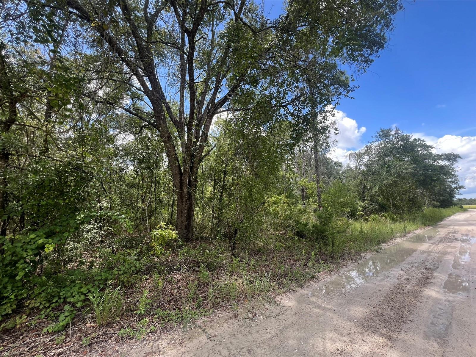 Lot 11 NW 11TH AVENUE