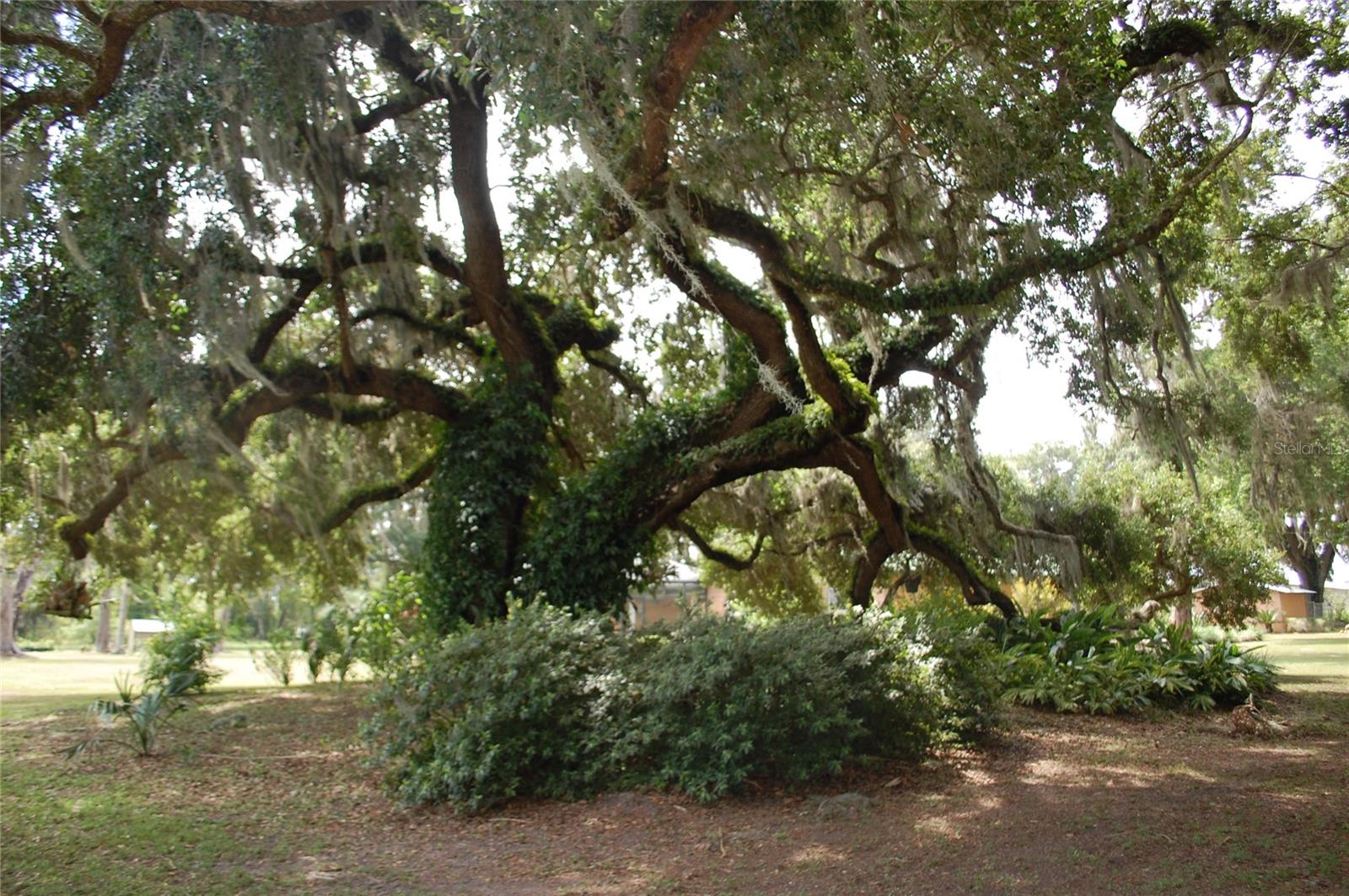 LOCHLOSSA FARMS - Residential