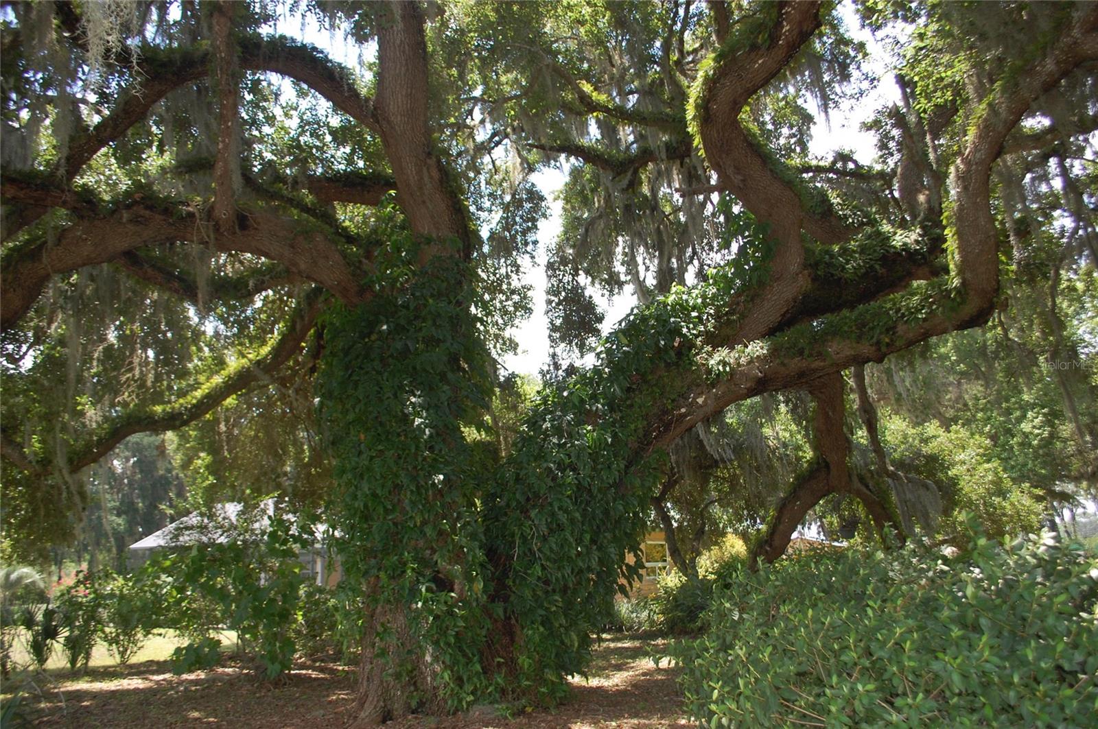 LOCHLOSSA FARMS - Residential