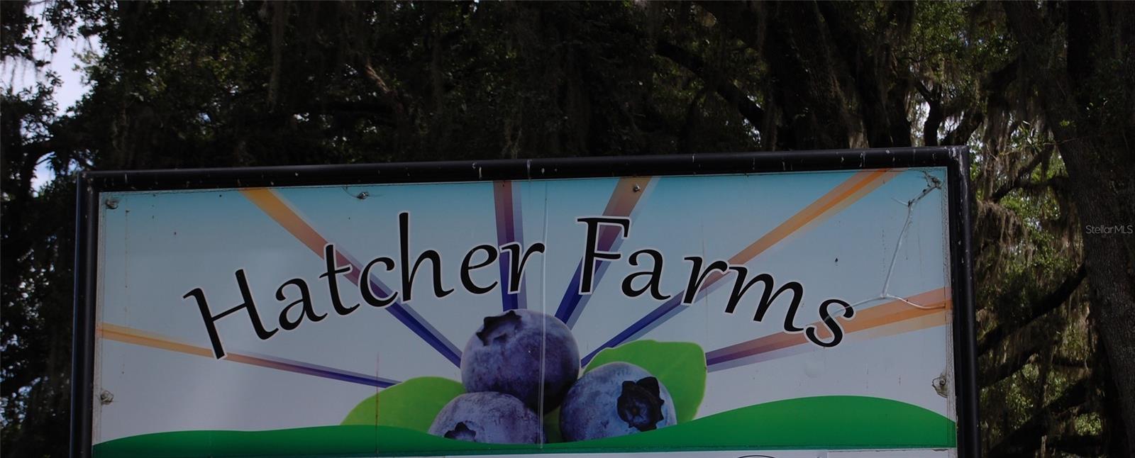 LOCHLOSSA FARMS - Residential