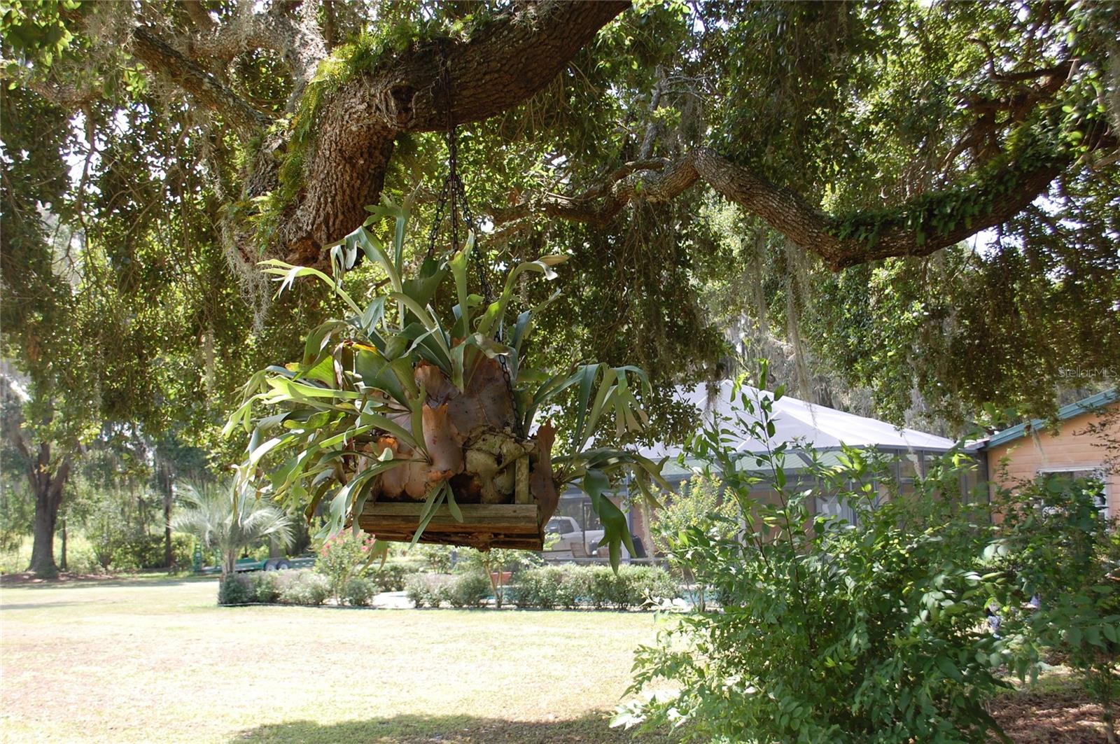 LOCHLOSSA FARMS - Residential